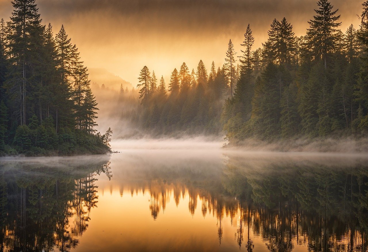trees, lake, sunrise-8686902.jpg